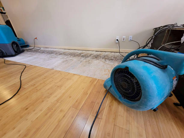 Professional Ceiling Water Damage Repair technician working in New Hampshire, OH